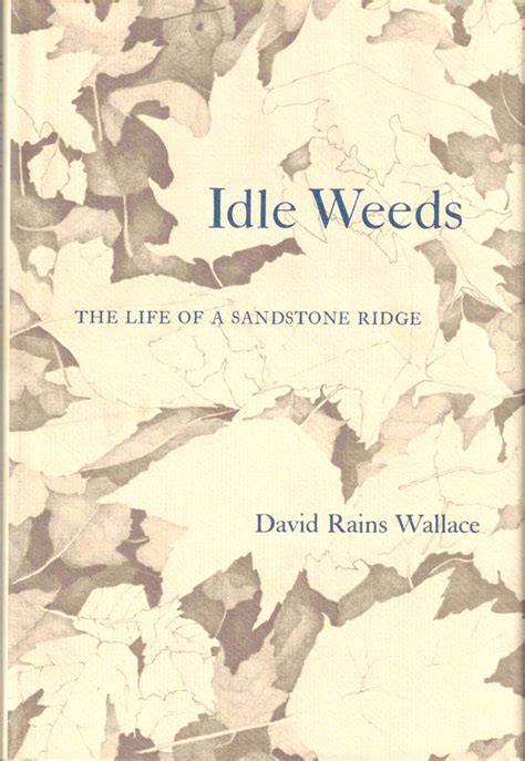 Idle Weeds The Life of a Sandstone Ridge Doc