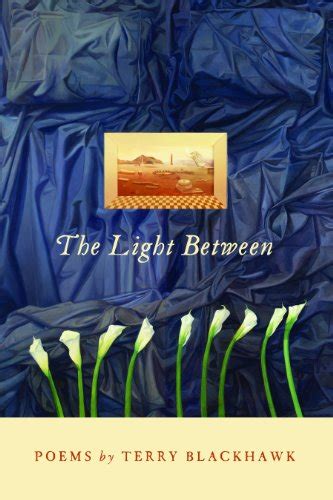If the World Becomes So Bright Made in Michigan Writers Series Epub