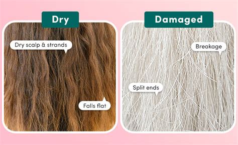 If you have dry, damaged hair,