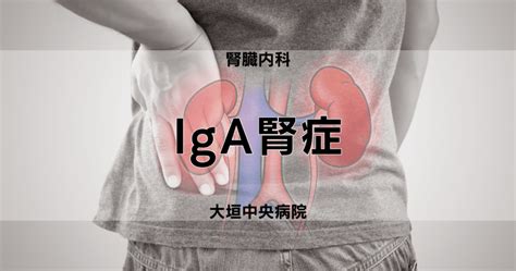 IgA腎症：常見的腎臟疾病