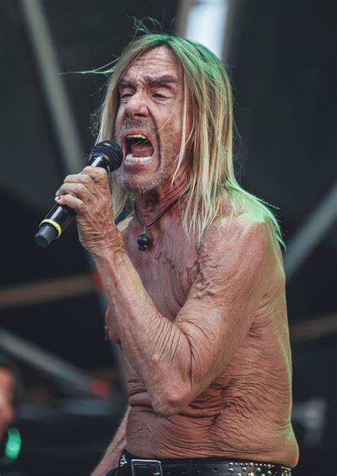 Iggy Pop & The Stooges: A Cultural Iconography Embodied in T-Shirts