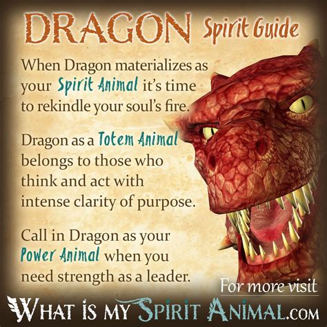 Ignite Your Dragon Spirit: Unlocking the Power of the Gi