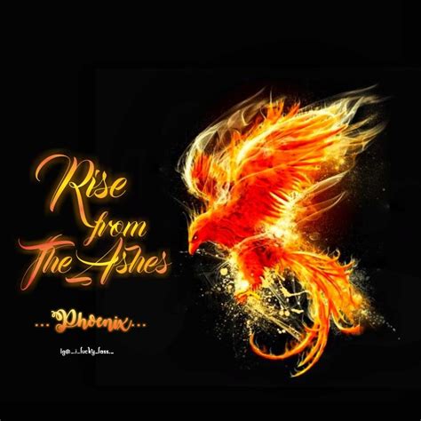 Ignite Your Spirit: Rise from the Ashes with Phoenix Shoes