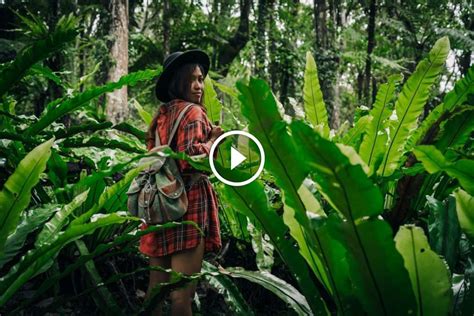 Ignite the Jungle: Unleashing the Power of Junglehotgirl