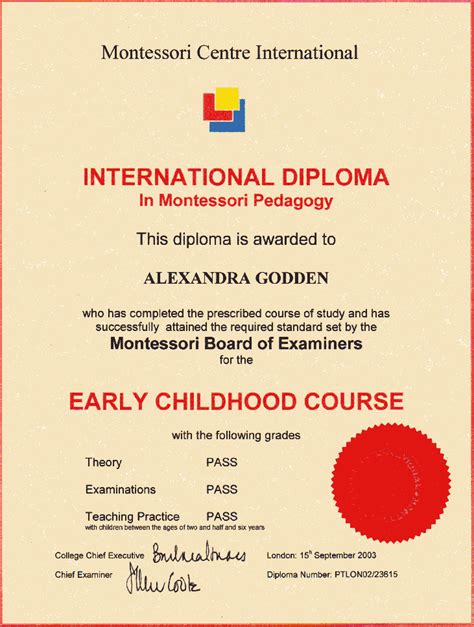 Igniting the Future: A Comprehensive Guide to Childhood Education Certificates