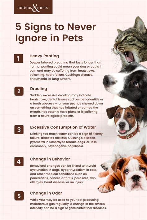 Ignoring Animal Needs: