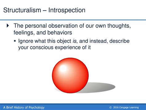 Ignoring the Call to Introspection: