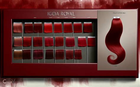 Igora Royal Color Chart Reds