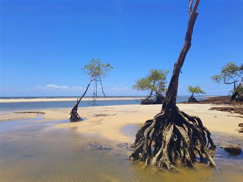 Ilha do Marajó