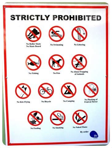 Illegal Things in Singapore: A Comprehensive Guide to Prohibited Activities and Consequences