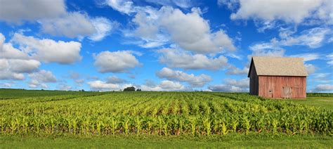 Illinois Agriculture Jobs: A Growing Field with Abundant Opportunities