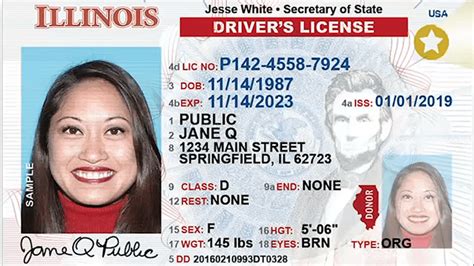 Illinois Driver's License Appointment: A Comprehensive Guide