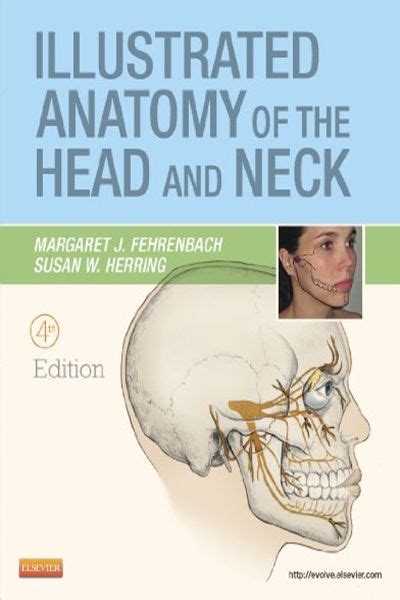 Illustrated Anatomy of the Head and Neck 4th Edition Kindle Editon