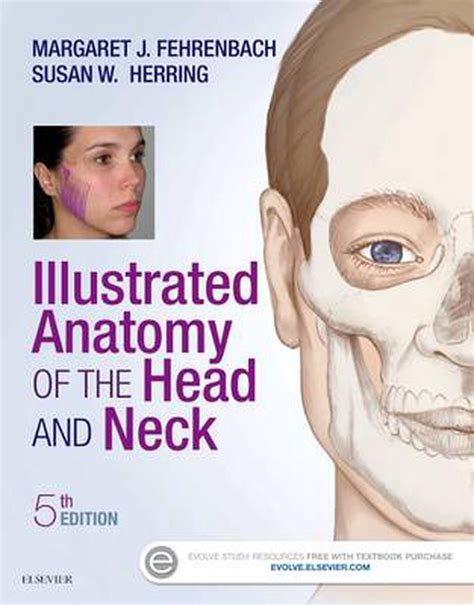 Illustrated Anatomy of the Head and Neck E-Book Kindle Editon