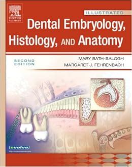Illustrated Dental Embryology Histology and Anatomy 2e Illustrated Colour Text Reader