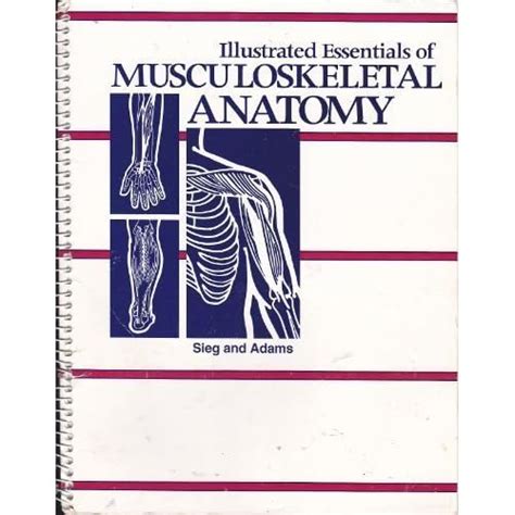 Illustrated Essentials of Musculoskeletal Anatomy Ebook PDF