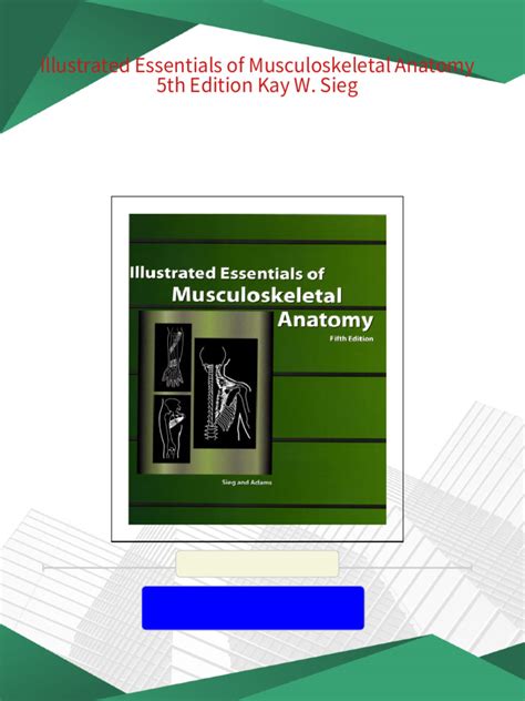 Illustrated Essentials of Musculoskeletal Anatomy Ebook PDF