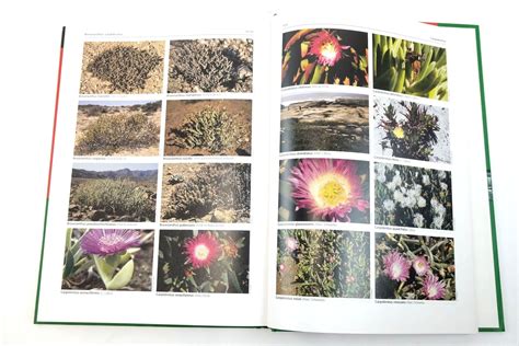 Illustrated Handbook of Succulent Plants Aizoaceae A-E 1st Edition Reader
