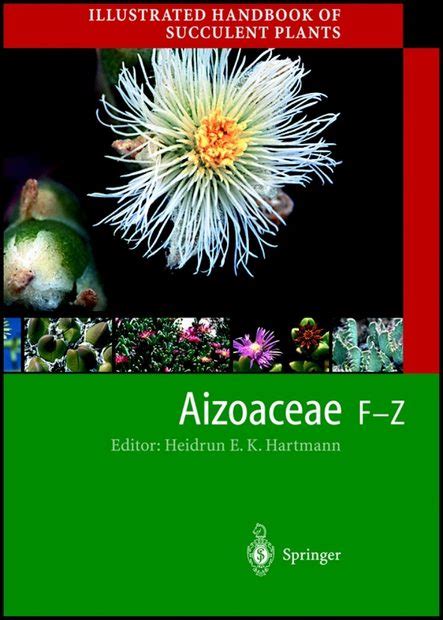 Illustrated Handbook of Succulent Plants Aizoaceae F-Z 1st Edition PDF