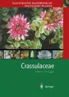 Illustrated Handbook of Succulent Plants Monocotyledons 1st Edition Doc