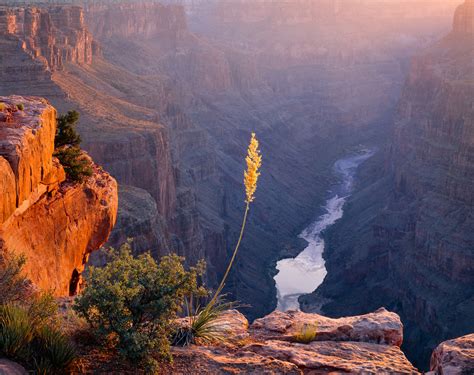 Images Jack Dykinga s Grand Canyon Reader