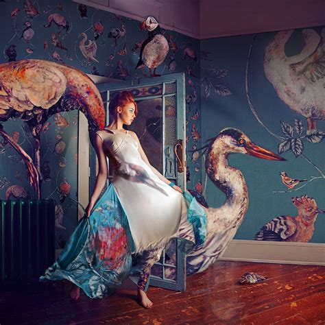 Imaginative Fashion Photography with Miss Aniela Ebook Kindle Editon