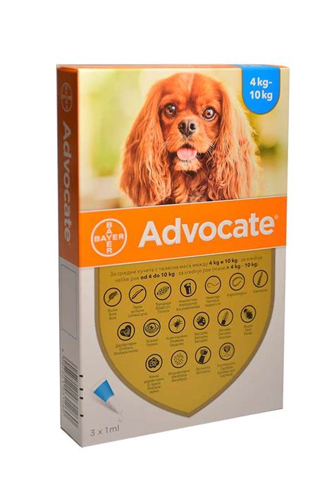 Imidacloprid for Dogs: A Comprehensive Guide for Pet Owners