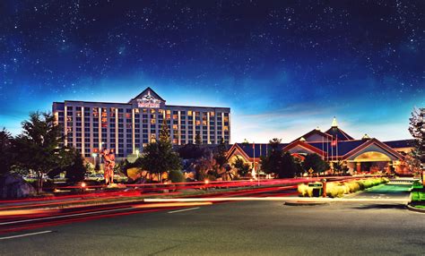 Immerse Yourself in Gaming Excitement: The Tulalip Casino