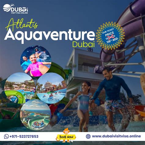 Immerse Yourself in a Realm of Aquatic Adventure