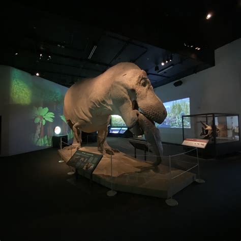 Immerse Yourself in the Prehistoric Era