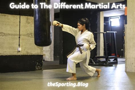 Immerse Yourself in the World of Martial Arts