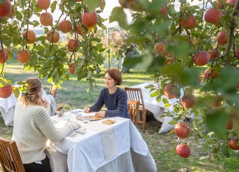 Immersive Orchard Experience: