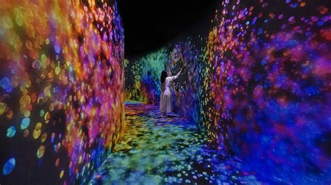 Immersive Phenomena: A Gateway to Sensory Extravaganza