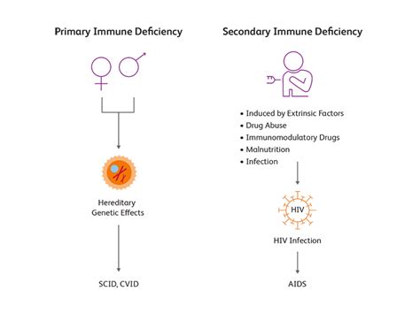 Immune Deficiency: