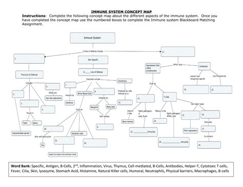 Immune System Concept Map Answer Key Doc