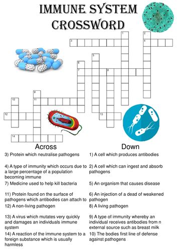 Immune System Crossword Puzzle Answer Key Reader