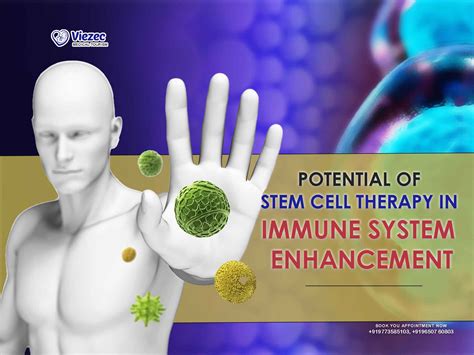 Immune System Enhancement: