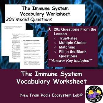 Immune System Key Words Answer Reader