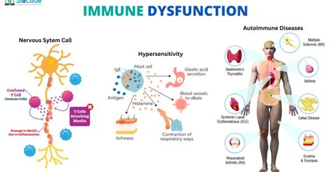 Immune system dysfunction: