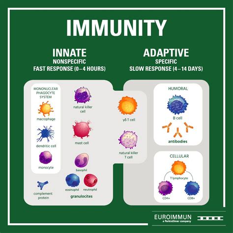 Immunity