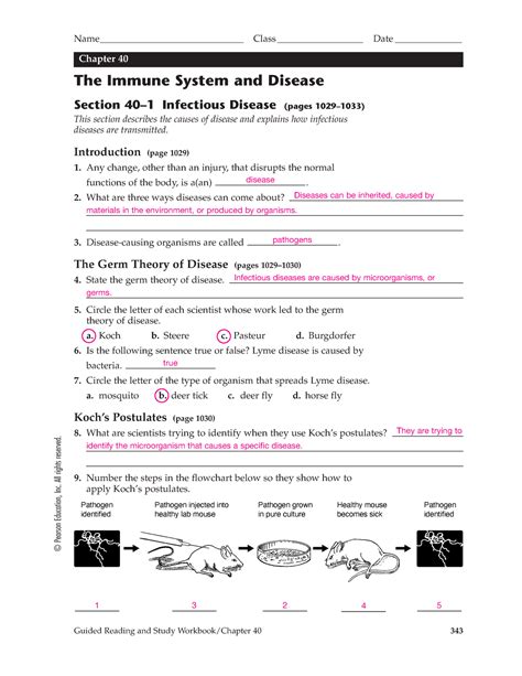 Immunity And Disease Answers Reader