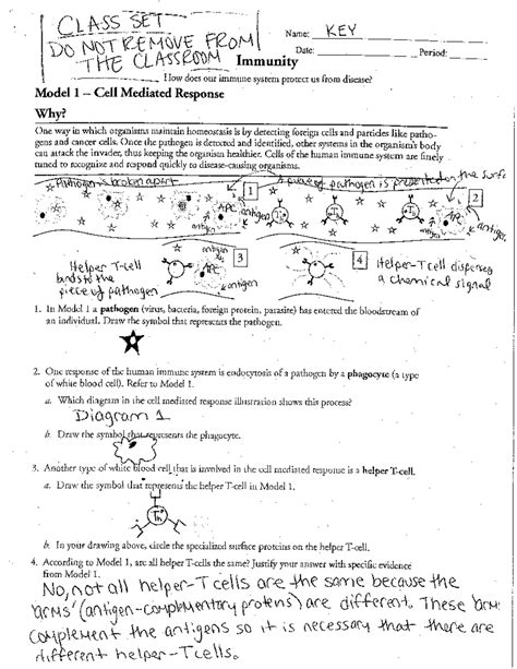 Immunity Pogil Answer Key Epub