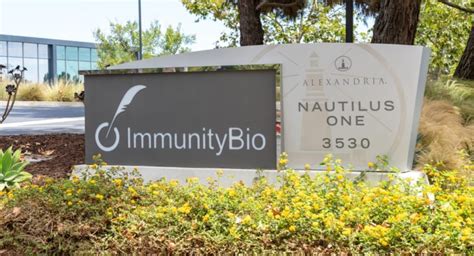 ImmunityBio Stock Price: 2023 Surge and Future Prospects