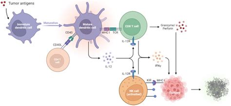 Immunosurveillance Reader