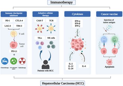 Immunotherapy: