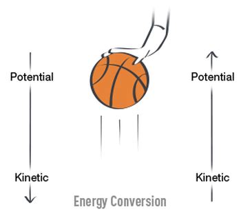 Impact Basketball: A Game-Changing Force on and Off the Court