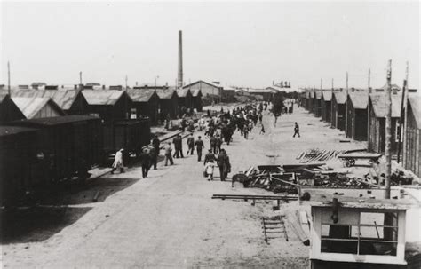 Impact of Kamp Westerbork