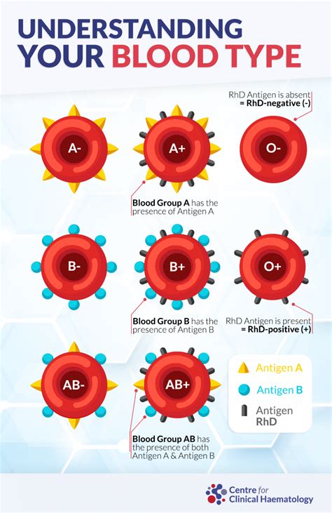 Importance of Blood Groups in Singapore