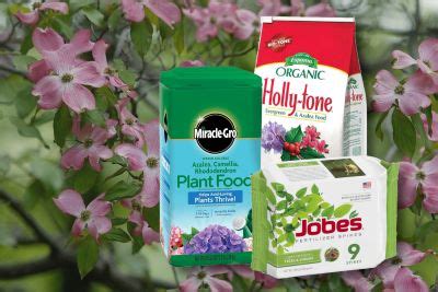 Importance of Fertilizers for Dogwood Trees