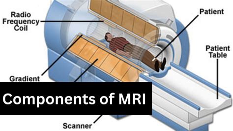 Importance of MRI